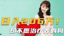 易达深度吃瓜娱乐圈,娱乐圈背后的吃瓜故事